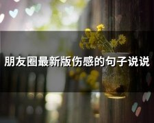 朋友圈最新版伤感的句子说说(精选58句)