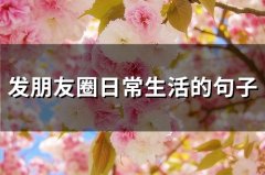 发朋友圈日常生活的句子(精选55句)