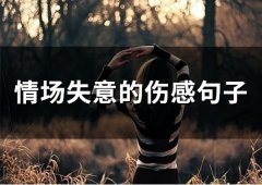 情场失意的伤感句子(精选54句)