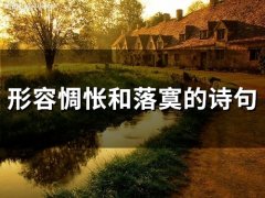 形容惆怅和落寞的诗句(55句)