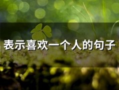 表示喜欢一个人的句子(精选77句)