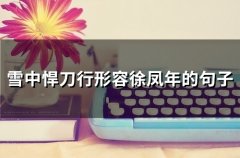 雪中悍刀行形容徐凤年的句子(75句)