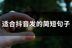 适合抖音发的简短句子(精选67句)