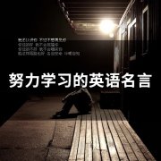 努力学习的英语名言(16个)