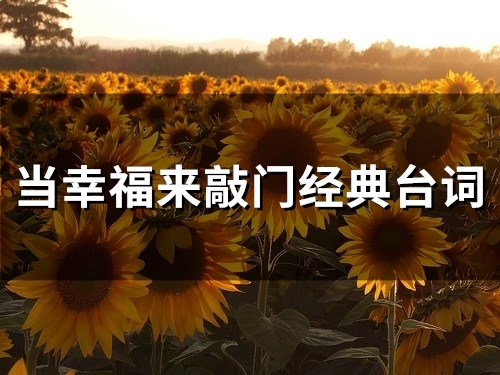 当幸福来敲门经典台词(精选56句)(当幸福来敲门经典画面)