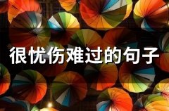 很忧伤难过的句子(53句)