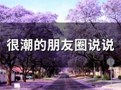 很潮的朋友圈说说(56句)
