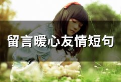 留言暖心友情短句(52句)