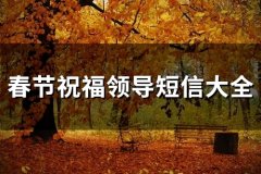 春节祝福领导短信大全(精选60句)