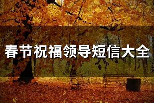 春节祝福领导短信大全(精选60句)