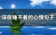 深夜睡不着的心情句子(精选57句)