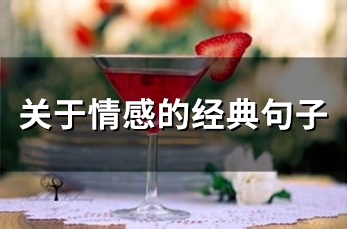 关于情感的经典句子(精选75句)(关于情感的经典短句)