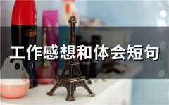 工作感想和体会短句(69句)
