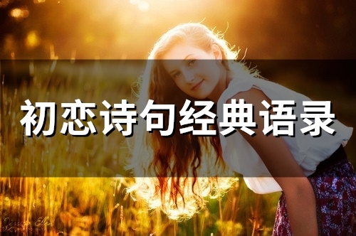 初恋诗句经典语录(精选65句)