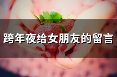 跨年夜给女朋友的留言(精选55句)