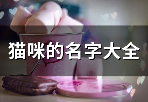猫咪的名字大全(精选76个)