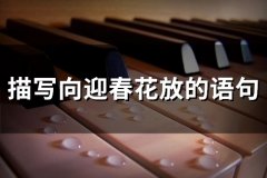 描写向迎春花放的语句(精选61句)