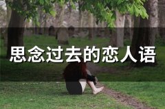 思念过去的恋人语(57句)