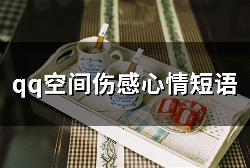 qq空间伤感心情短语(精选59句)(qq空间伤感说说)