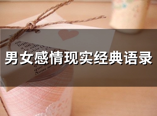 男女感情现实经典语录(精选66句)