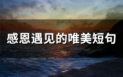 感恩遇见的唯美短句(精选56句) 感恩遇见的唯美句子