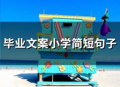 毕业文案小学简短句子(52句)