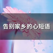 告别家乡的心短语(34句)