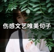 伤感文艺唯美句子(精选26句)