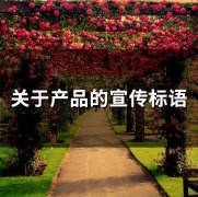 关于产品的宣传标语(精选36句)