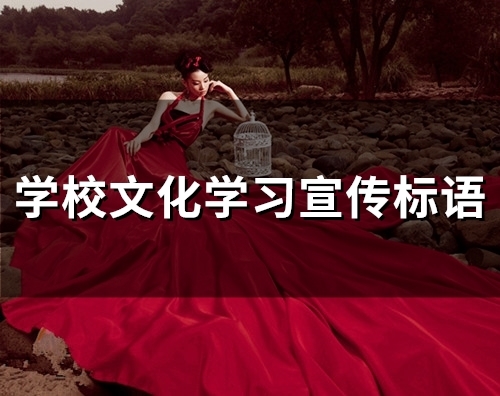 学校文化学习宣传标语(精选25句)