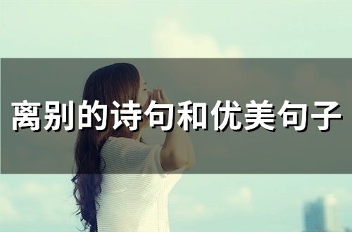 离别的诗句和优美句子(41句)(离别得诗句)