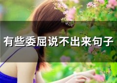 有些委屈说不出来句子(32句)