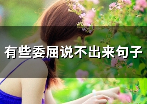 有些委屈说不出来句子(32句)