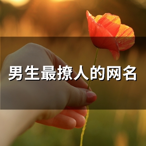 男生最撩人的网名(72个) 男生最撩人的网名(72个)