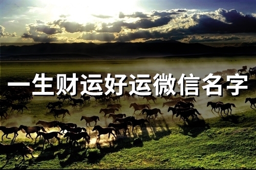 一生财运好运微信名字(176个)(一生财运好运微信名字女)