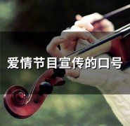 爱情节目宣传的口号(62句)