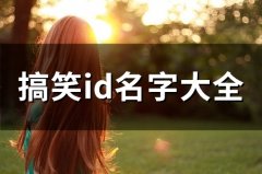 搞笑id名字大全(精选79个)