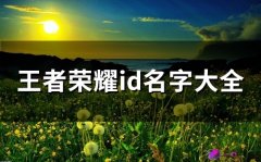 王者荣耀id名字大全(171个)