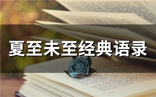 夏至未至经典语录(精选80句)(夏至未至经典语录台词陆之昂)
