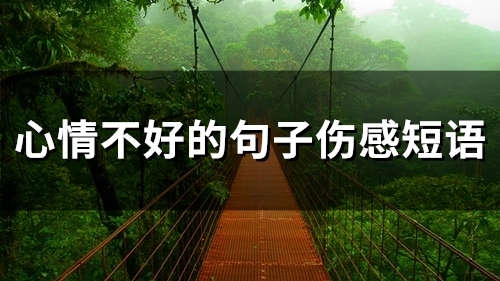心情不好的句子伤感短语(68句)