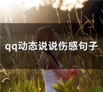 qq动态说说伤感句子(72句)