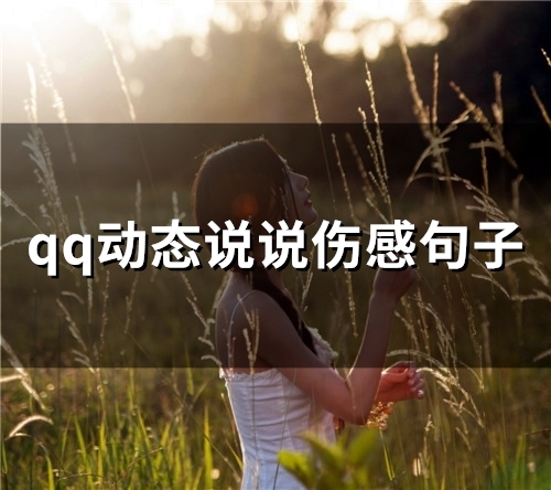 qq动态说说伤感句子(72句) qq动态说说伤感句子(72句)