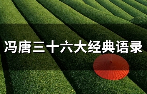 冯唐三十六大经典语录(57句)(冯唐三十六大原文)
