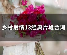 乡村爱情13经典片段台词(63句)