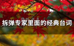 拆弹专家里面的经典台词(43句)