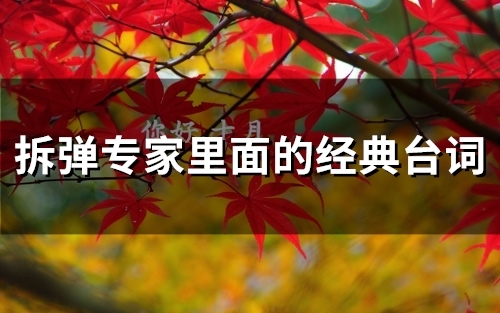 拆弹专家里面的经典台词(43句)