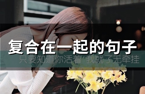复合在一起的句子(79句)
