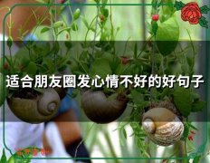 适合朋友圈发心情不好的好句子(73句)