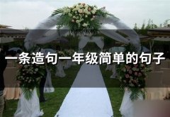 一条造句一年级简单的句子(精选68句)