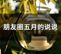 朋友圈五月的说说(73句)